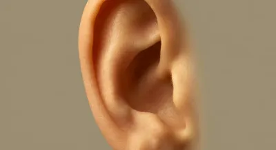 Gros plan artistique d'une oreille humaine saine