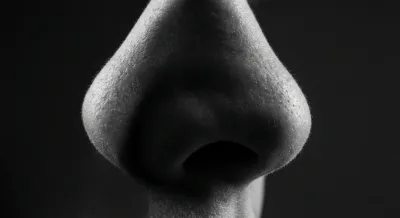 Gros plan contrasté sur le nez humain mettant en évidence la perception sensorielle.