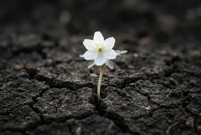 Une fleur délicate poussant dans la terre, symbole de renouveau et de résilience face à la maladie.
