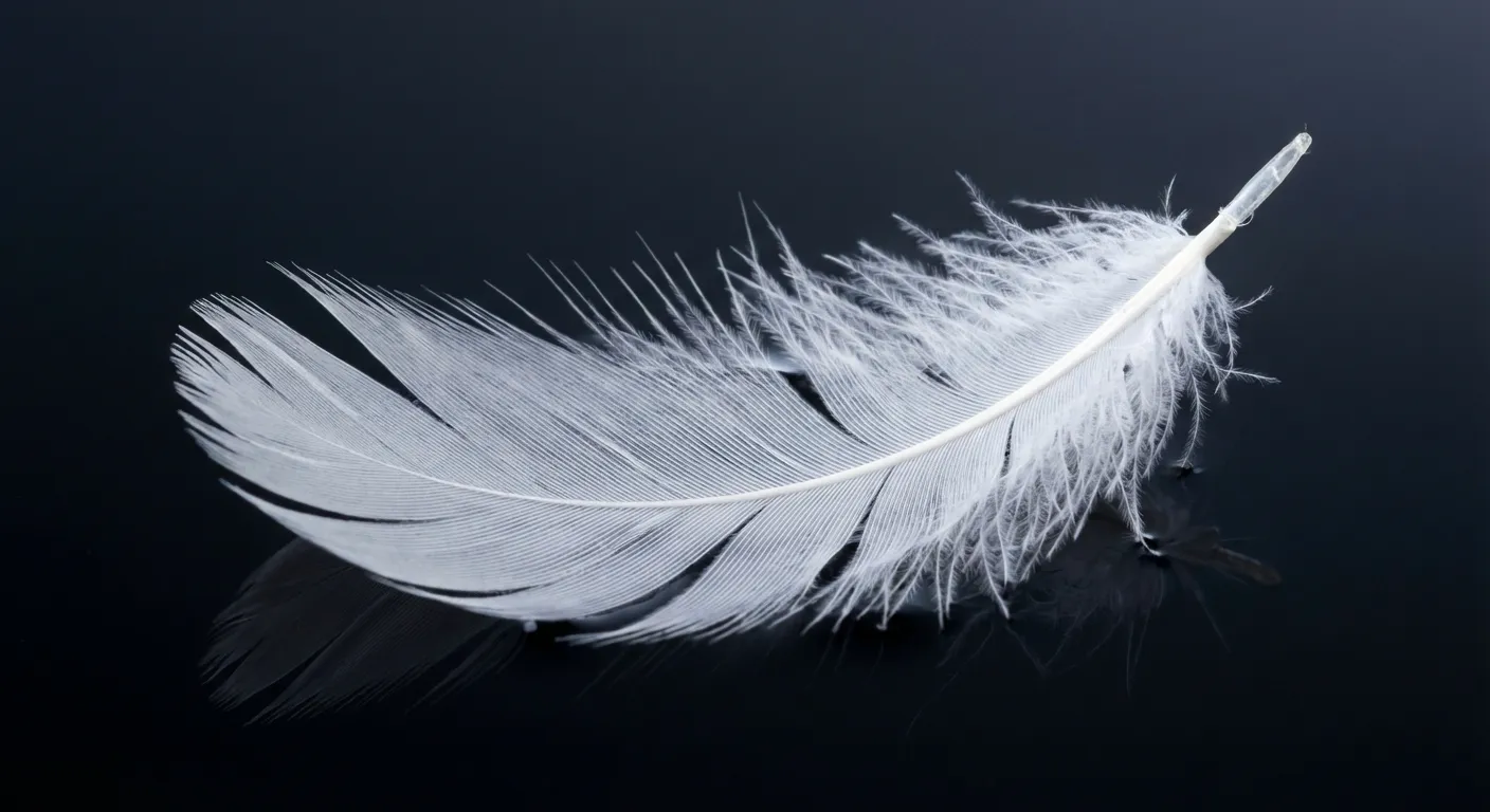Une plume blanche flottant sur une eau sombre, symbolisant la légèreté et l'apaisement.