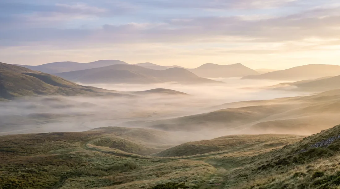 Paysage éthéré représentant le soulagement et le calme pour illustrer la gestion de la santé