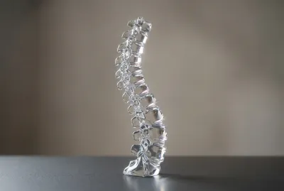 Représentation épurée et symbolique de la colonne vertébrale pour illustrer le syndrome de Maigne