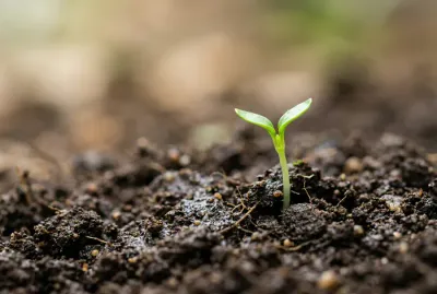 Symbolique de la vie qui commence, image minimaliste